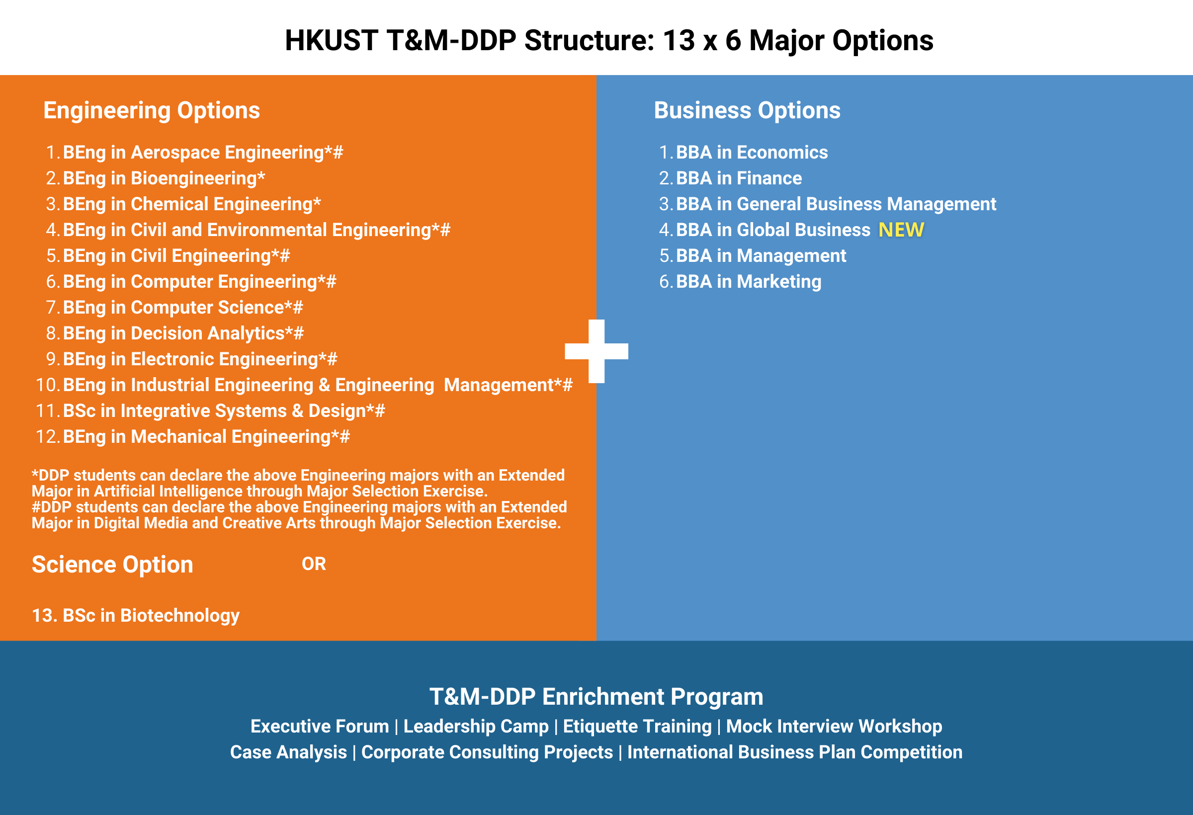 HKUST T&M-DDP Structure 13 x 6 Major Options 